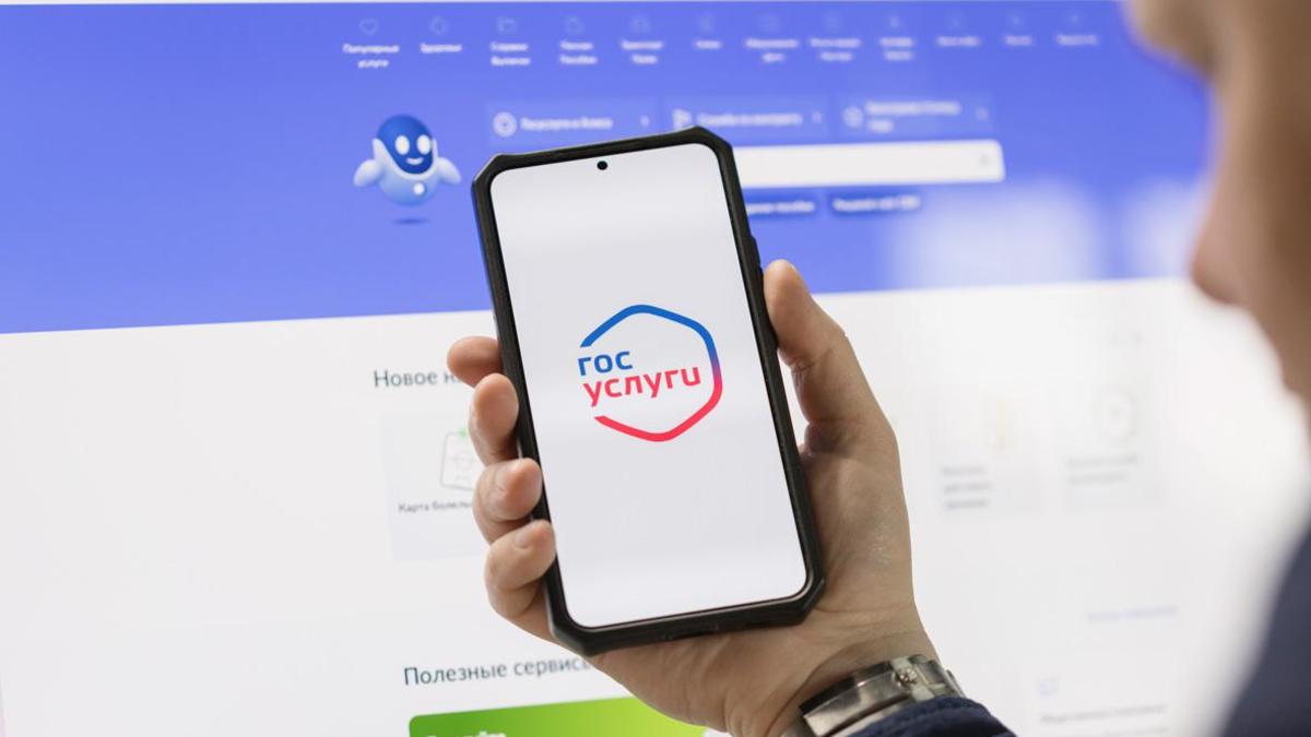 Приложение ГосУслуги