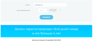 Настоящий возраст сайта Ecoriogo