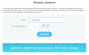 Возраст сайта Tvakloxil